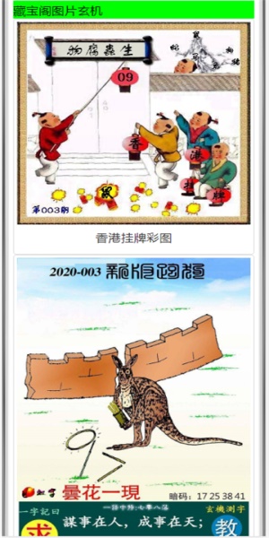 平特一肖，香港平肖的魅力與探索，香港平肖的魅力與探索之旅