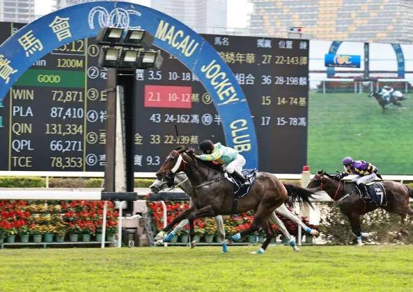 7777788888香港馬，香港賽馬賽事精彩瞬間回顧