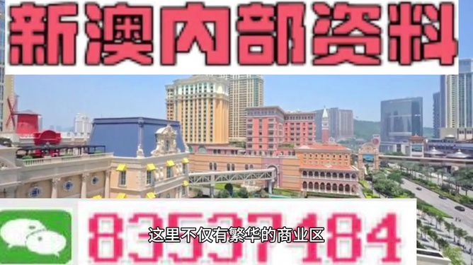 新澳新澳門正版資料的探索與解析，新澳新澳門正版資料的深度探索與解析