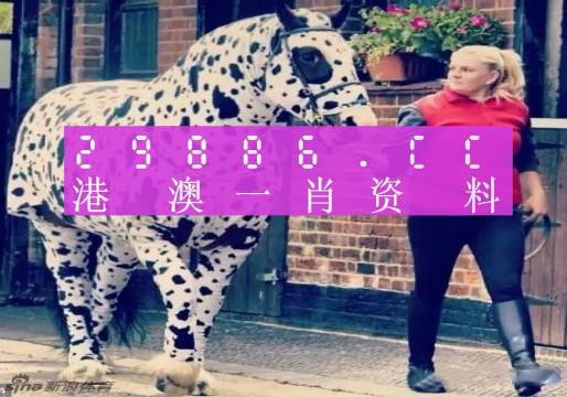 澳門王中王一肖一特一中，揭秘博彩之都的傳奇故事，澳門博彩傳奇，王中王一肖一特一中揭秘博彩之都的秘密