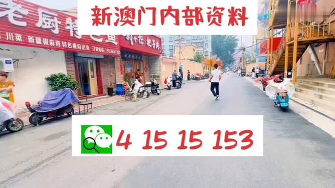 2025新澳天天開好彩大全，2025新澳天天開好彩全集，揭秘彩票背后的秘密