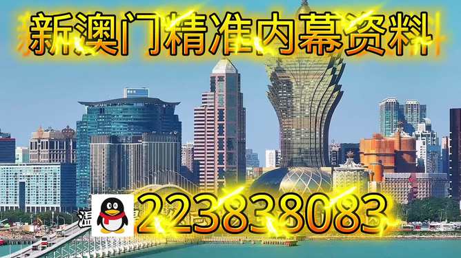 探索新澳門，7777788888正版魅力的獨(dú)特體驗(yàn)，探索新澳門，正版魅力與獨(dú)特體驗(yàn)之旅