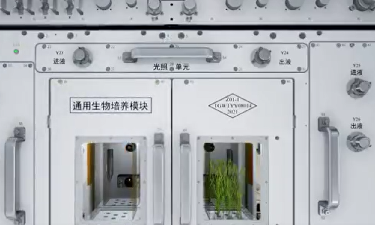澳門最精準(zhǔn)正最精準(zhǔn)龍門，揭秘與探索，澳門最精準(zhǔn)龍門揭秘與探索之旅