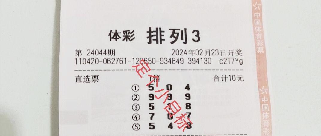 中國體育彩票開獎(jiǎng)結(jié)果，激情與期待的交匯點(diǎn)，中國體育彩票開獎(jiǎng)結(jié)果，激情與期待的瞬間