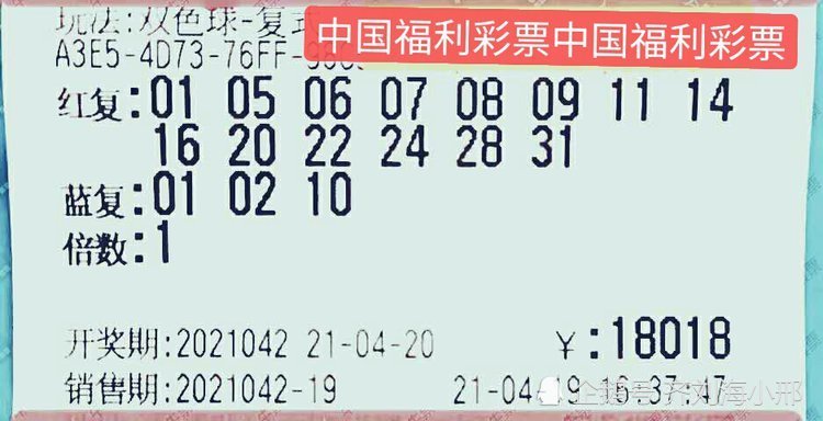2025澳門特馬今晚開什么碼，澳門今晚特馬開碼結(jié)果預(yù)測分析