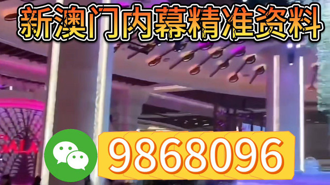 今晚澳門特馬開的什么號碼，澳門特馬今晚開獎號碼揭曉