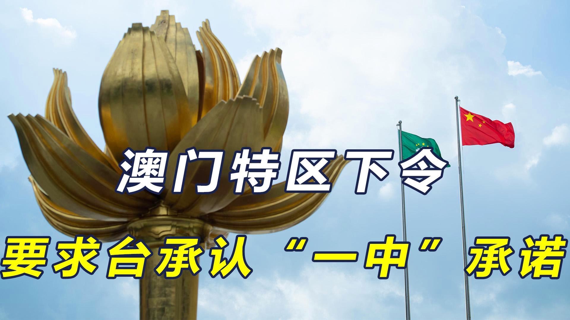 澳門(mén)一碼一肖一中一待四不像，探索神秘的文化現(xiàn)象，澳門(mén)文化現(xiàn)象探索，一碼一肖一中一待四不像的神秘面紗