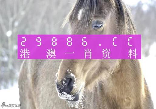 澳門一肖一碼百分百準(zhǔn)確預(yù)測(cè)，揭秘彩票背后的秘密，澳門彩票預(yù)測(cè)揭秘，一肖一碼百分百準(zhǔn)確預(yù)測(cè)背后的秘密