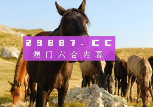 澳門管家婆一肖一碼100，揭秘彩票背后的秘密，揭秘彩票背后的秘密，澳門管家婆一肖一碼100真相探究