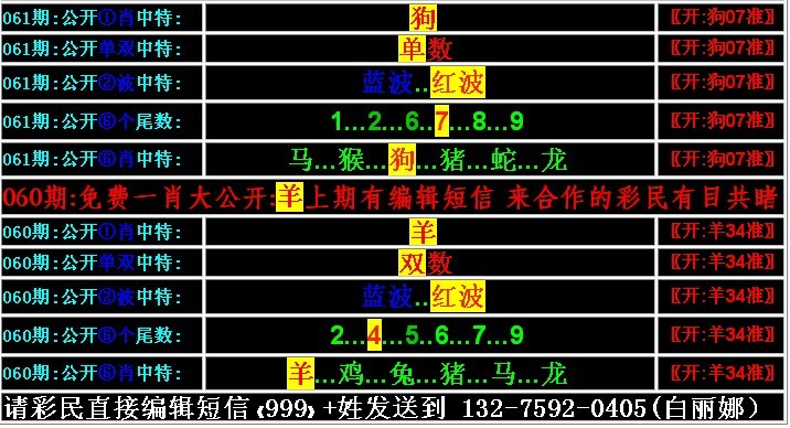 一肖特中平，一肖特中平，揭秘背后的故事
