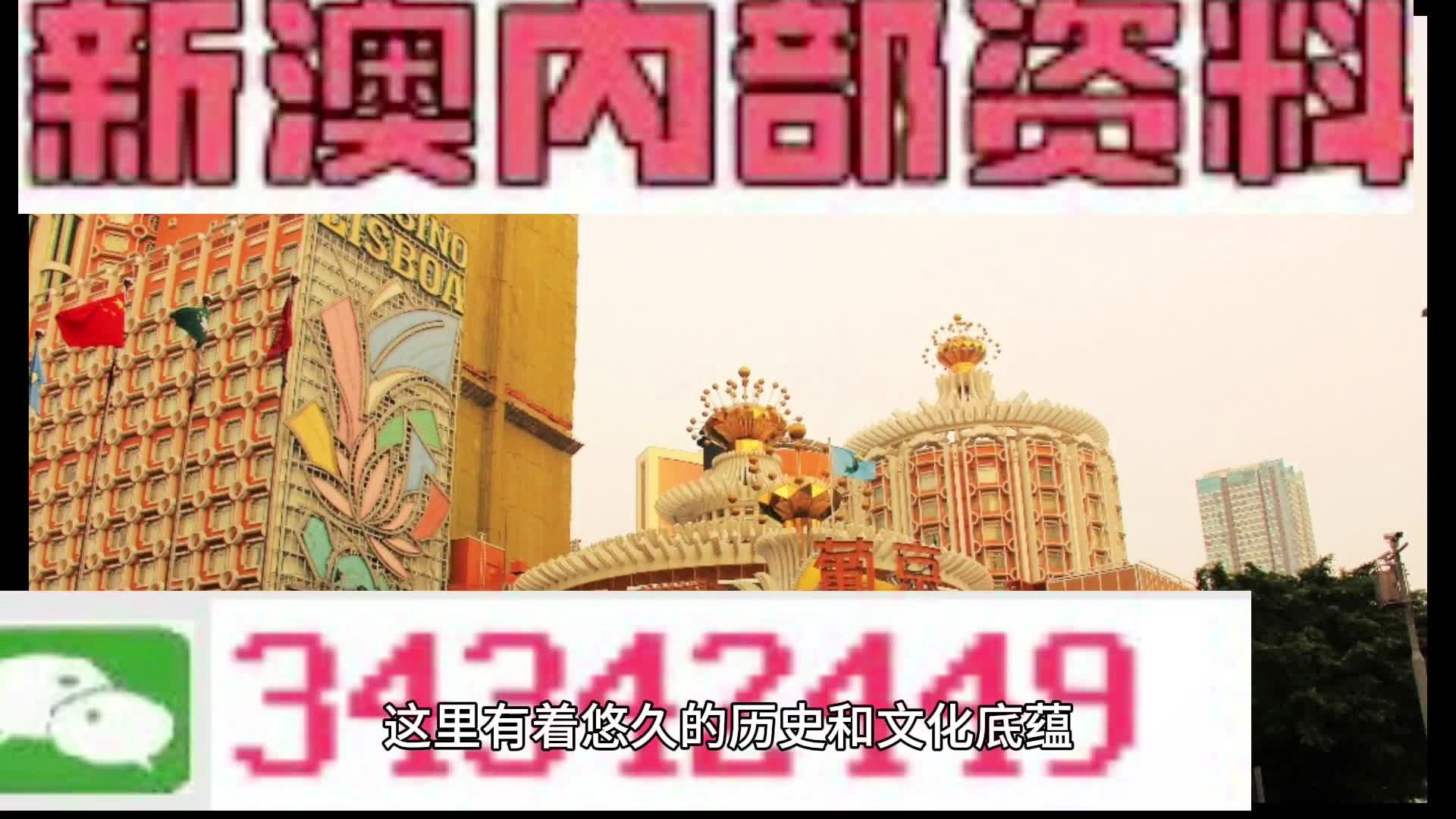 新門內部資料大全免費查詢，新門內部資料免費查詢指南
