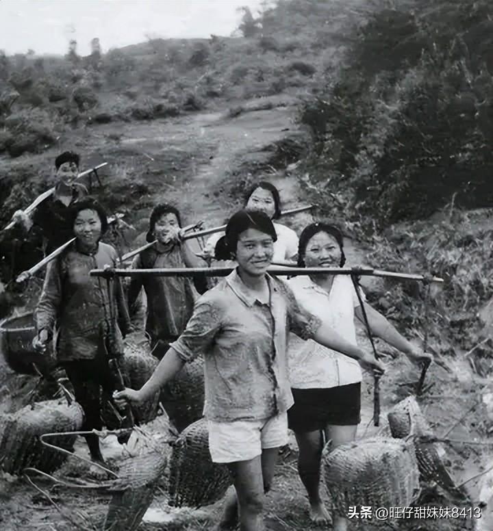 49圖庫圖片 資料，49圖庫圖片資料集錦