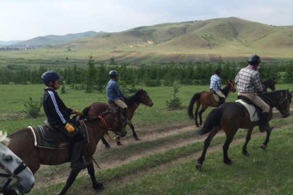 澳門特馬開獎號碼，探索與解析，澳門特馬開獎號碼解析與探索