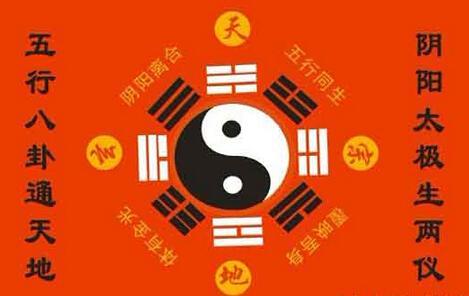 神算玄機(jī)網(wǎng)，揭開命運(yùn)之輪的神秘面紗，神算玄機(jī)網(wǎng)揭秘命運(yùn)之輪神秘面紗