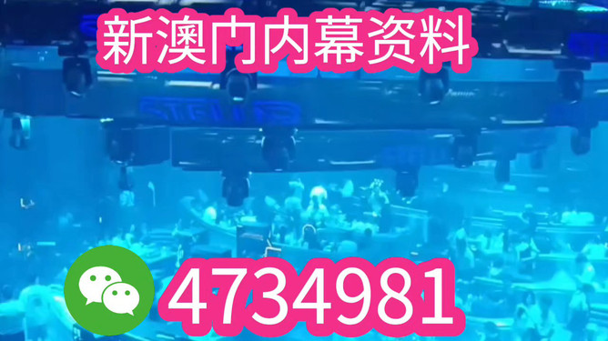 揭秘，2025新澳門特馬今晚開獎背后的故事，揭秘，澳門特馬今晚開獎背后的故事（2025年）